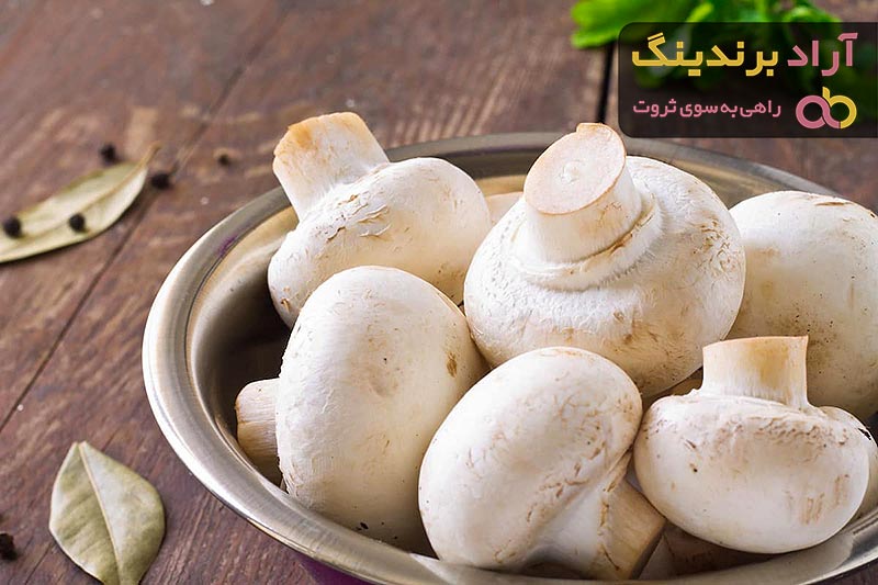 قیمت قارچ خوراکی بسته بندی شده