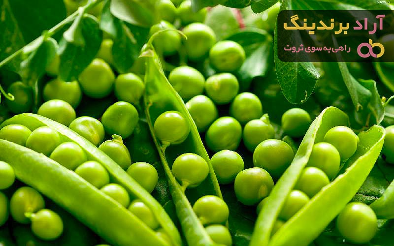 قیمت نخود فرنگی نوبر سبز