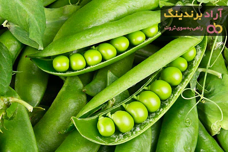 قیمت نخود فرنگی در تره بار