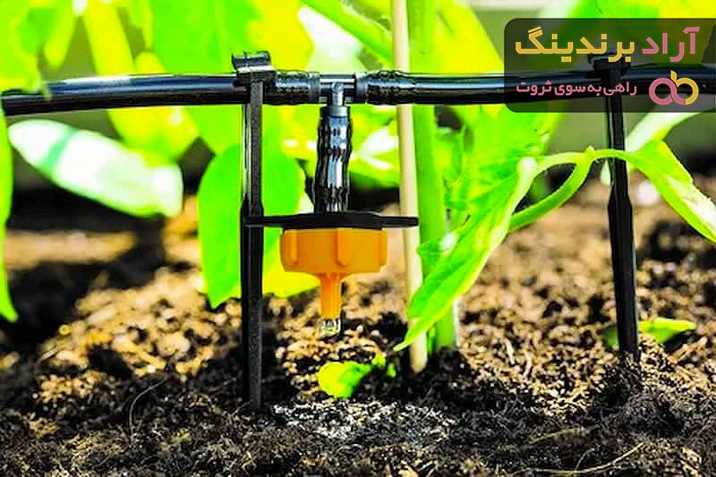 قیمت آبیاری قطره ای درختان
