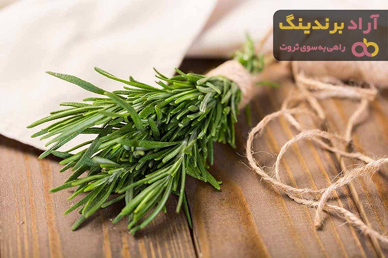 قیمت رزماری تازه