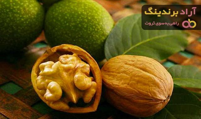 قیمت گردو در ترکیه