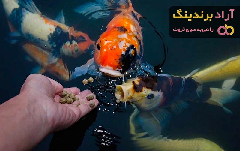 قیمت خوراک ماهی پرورشی