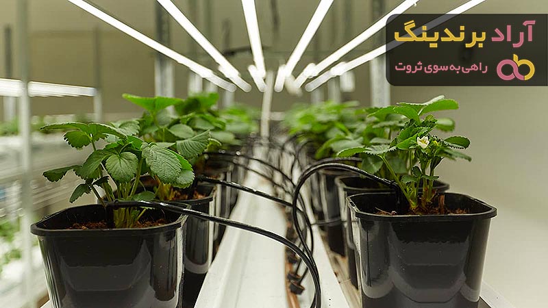 قیمت سیستم آبیاری هیدروپونیک