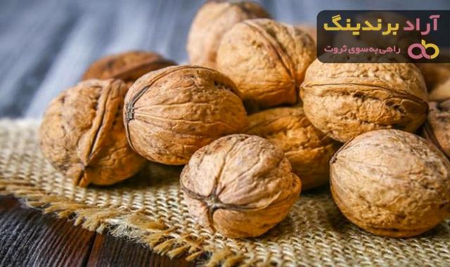 قیمت گردو با پوست همدان
