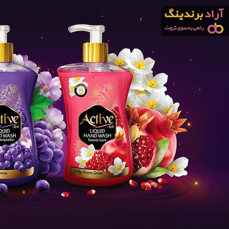 قیمت مایع دستشویی اکتیو 450 گرمی