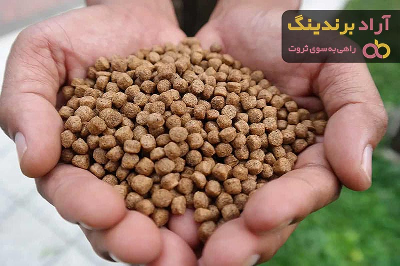 قیمت خوراک ماهی بیضا