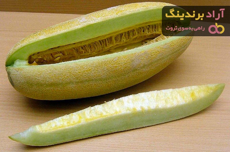 قیمت خربزه مشهدی