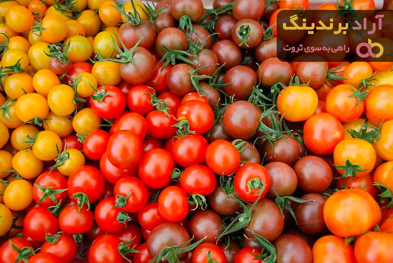 قیمت گوجه فرنگی در جهان