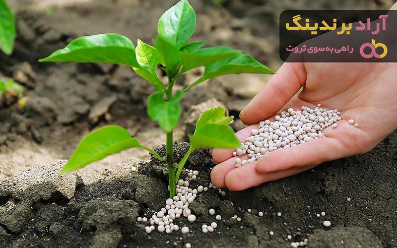 قیمت کود شیمیایی سفید ازاد