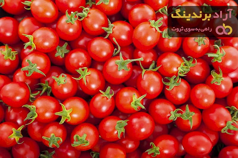 قیمت گوجه فرنگی در زاهدان