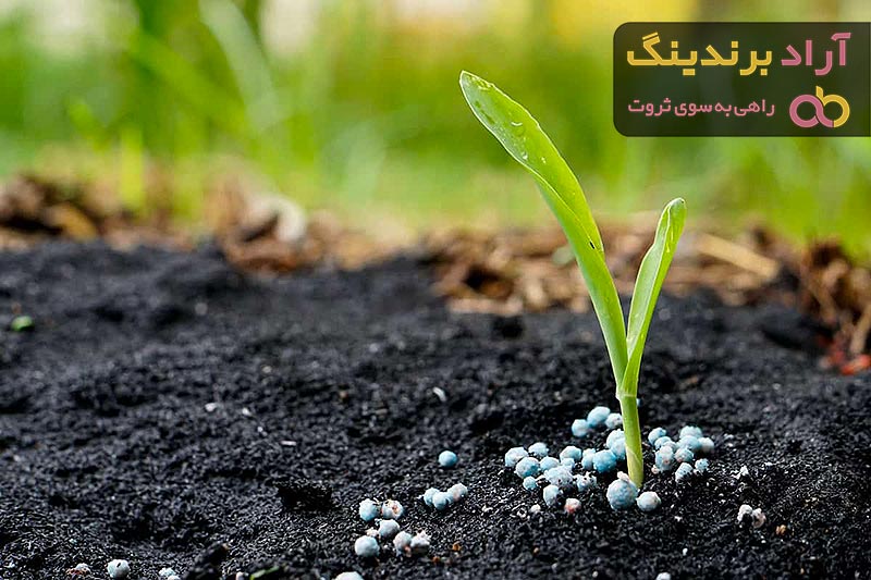 قیمت کود شیمیایی فسفاته