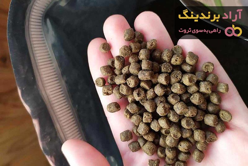 قیمت غذای ماهیان دریایی