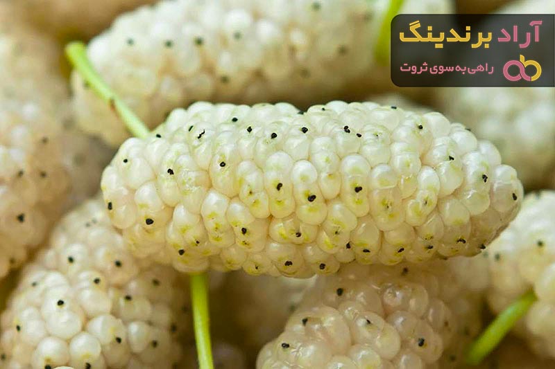 قیمت توت سفید تازه 1401