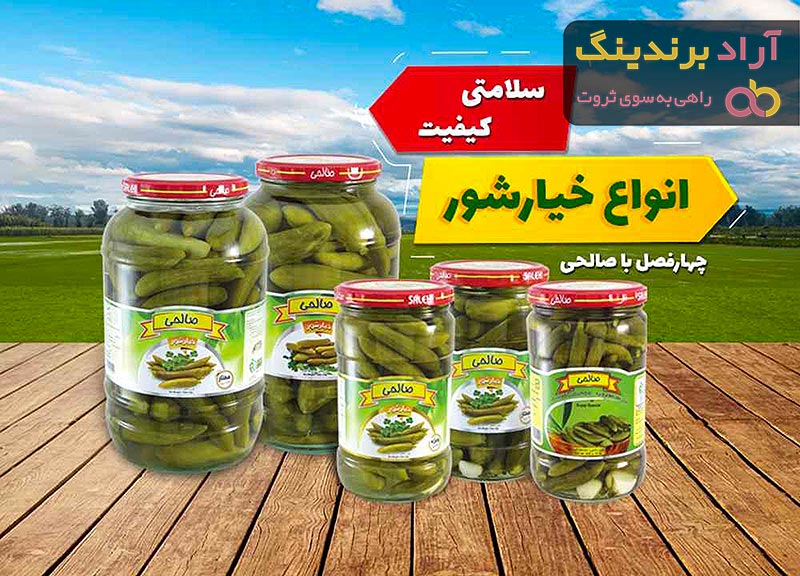 قیمت خیارشور صالحی