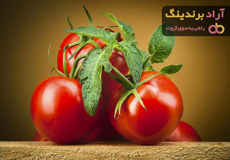 قیمت گوجه فرنگی در میدان تره بار