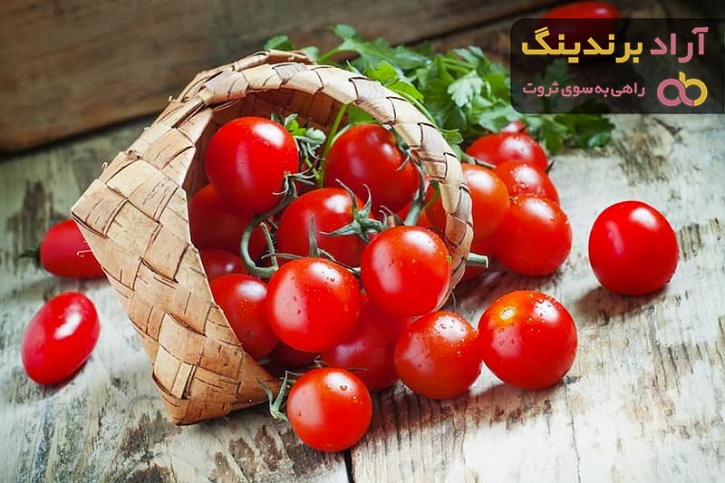 قیمت گوجه فرنگی بوته ای