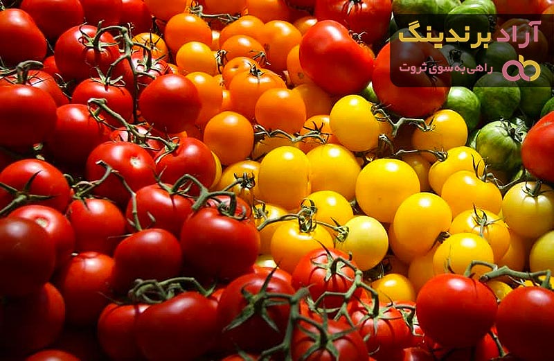 قیمت گوجه فرنگی در کارخانه تبرک
