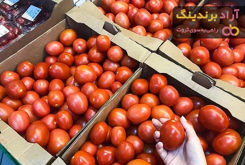 قیمت گوجه فرنگی در میدان