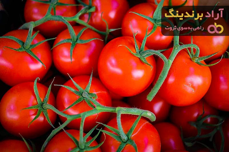 قیمت گوجه فرنگی امروز کرج