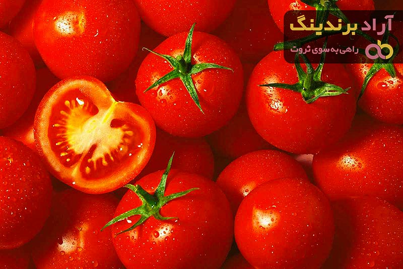 قیمت گوجه فرنگی بندرعباس