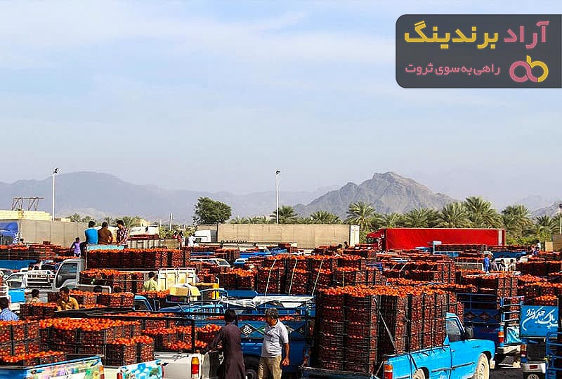 قیمت گوجه فرنگی در میدان تره بار تهران