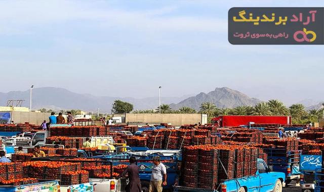 قیمت گوجه فرنگی در میدان تره بار تهران