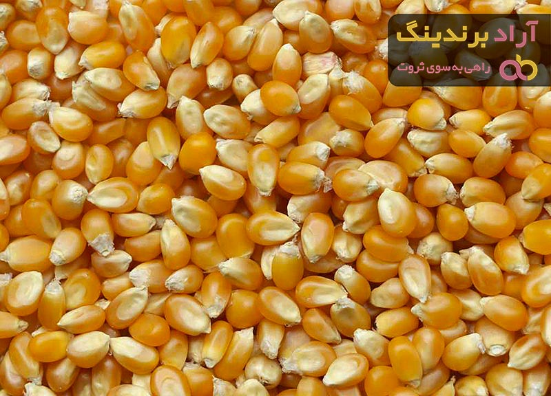 قیمت ذرت دامی برزیلی