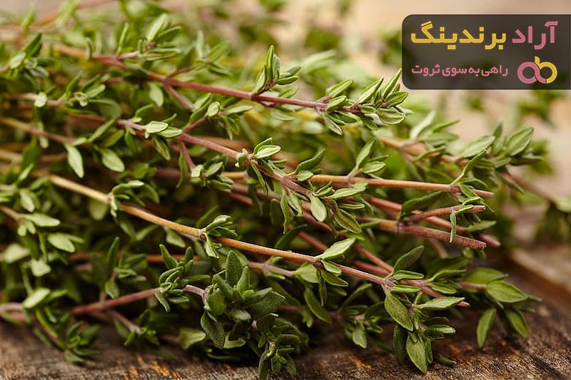 قیمت آویشن کیلویی