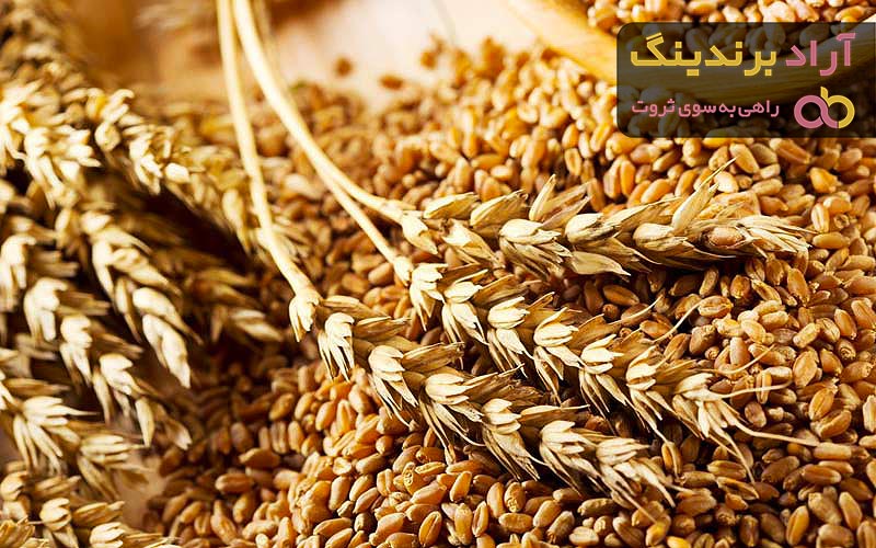 قیمت گندم در خراسان شمالی