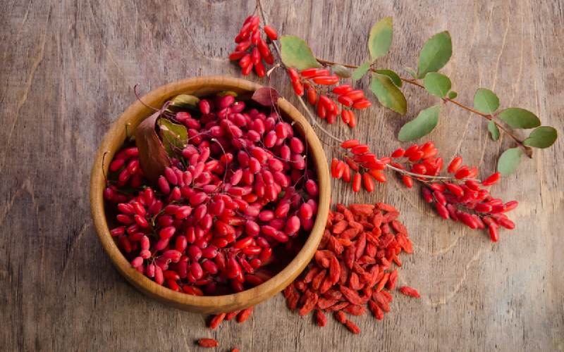 قیمت زرشک فله در مشهد