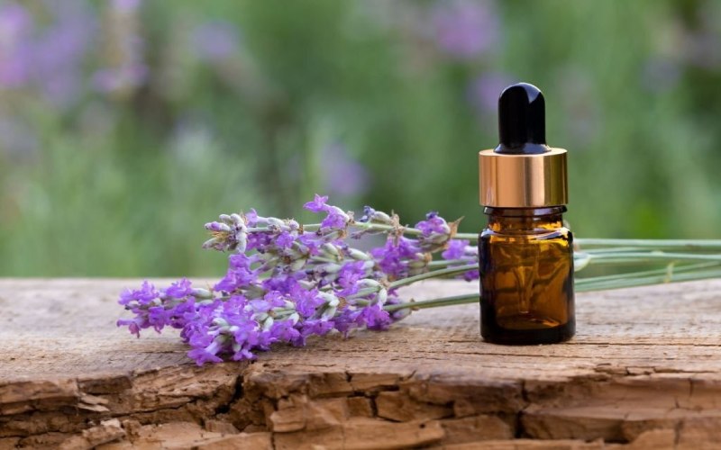 قیمت روغن بنفشه در عطاری