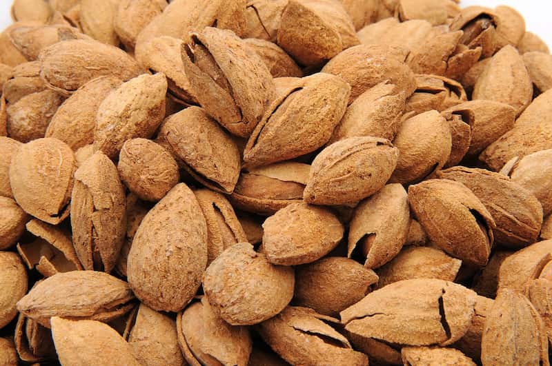 قیمت بادام کاغذی درجه یک