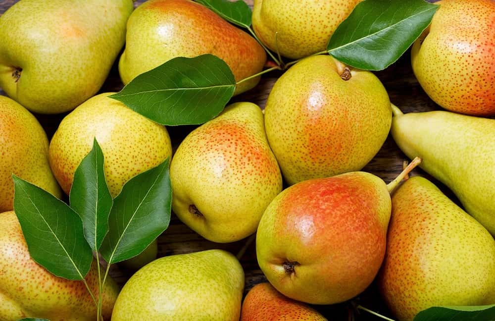 قیمت گلابی در تره بار