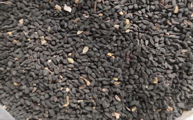 قیمت سیاه دانه کیلویی