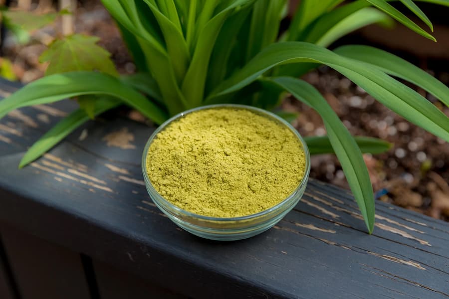 قیمت حنا هندی سنتی