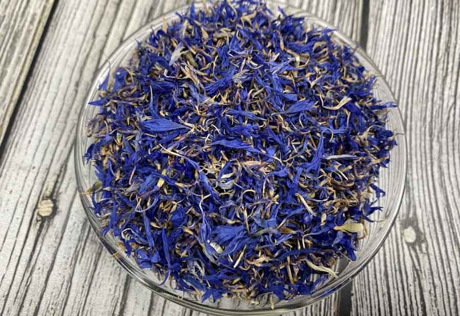 قیمت گل گاوزبان خشک