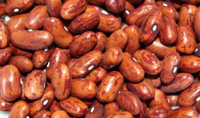 زمان پخت لوبیا چیتی ، چیکار کنم لوبیا زود بپزه