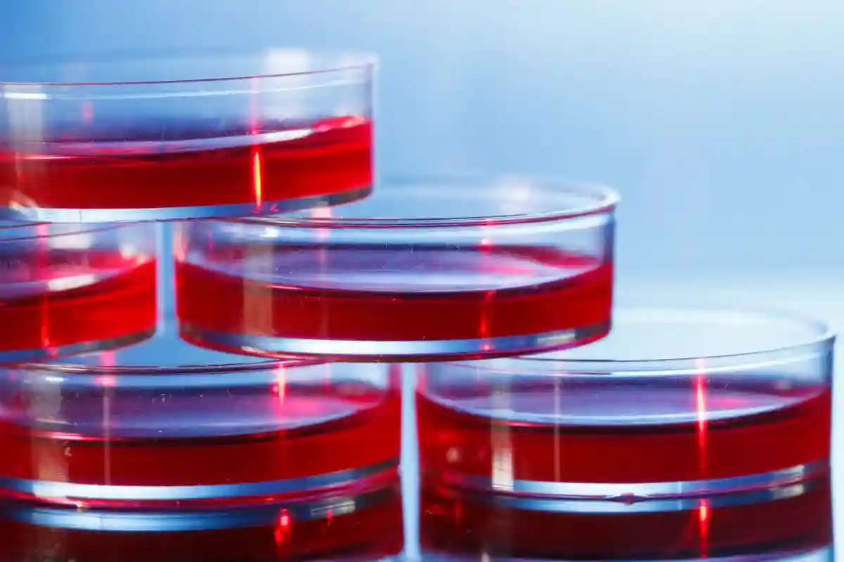 جیوه قرمز در چراغ نفتی + از کجا بفهمیم چراغ زنبوری جیوه دارد؟