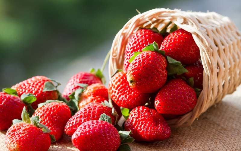 قیمت توت فرنگی کوچولو