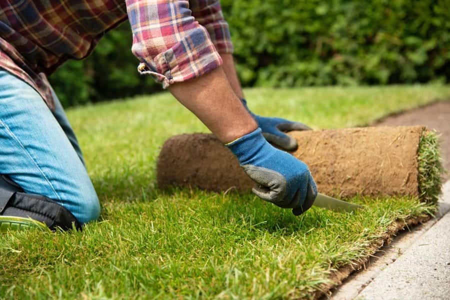 قیمت چمن مصنوعی دست دوم شیراز