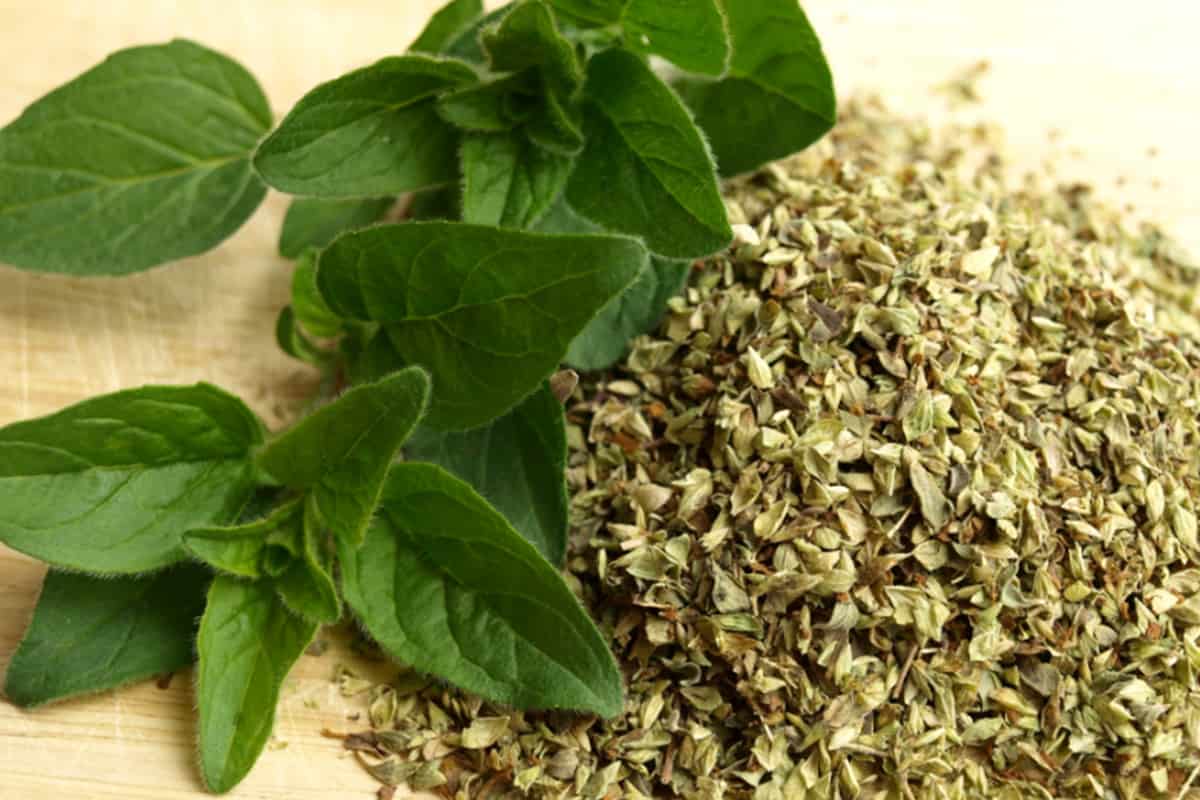 قیمت بادرنجبویه خشک