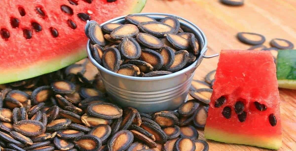 قیمت تخمه هندوانه امروز