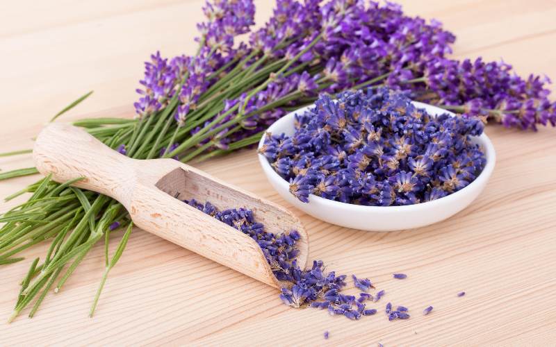 قیمت اسطوخودوس کیلویی