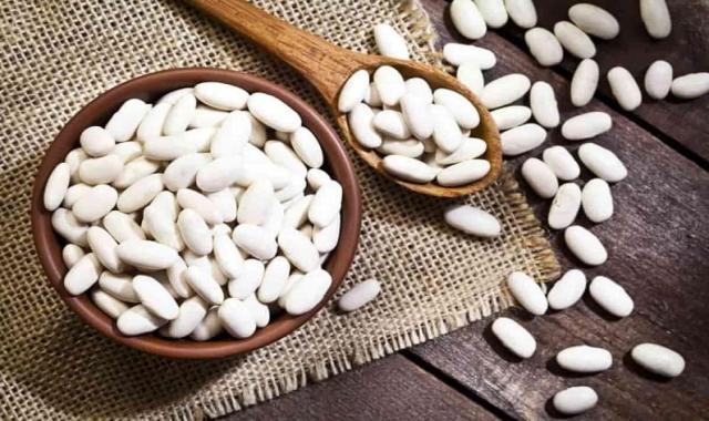 قیمت لوبیا سفید فله امروز