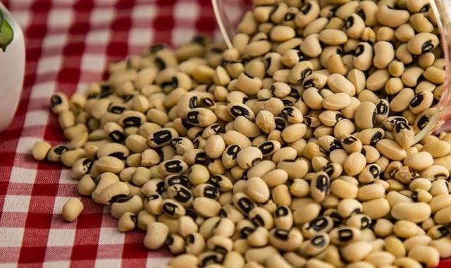 قیمت لوبیا چشم بلبلی فله