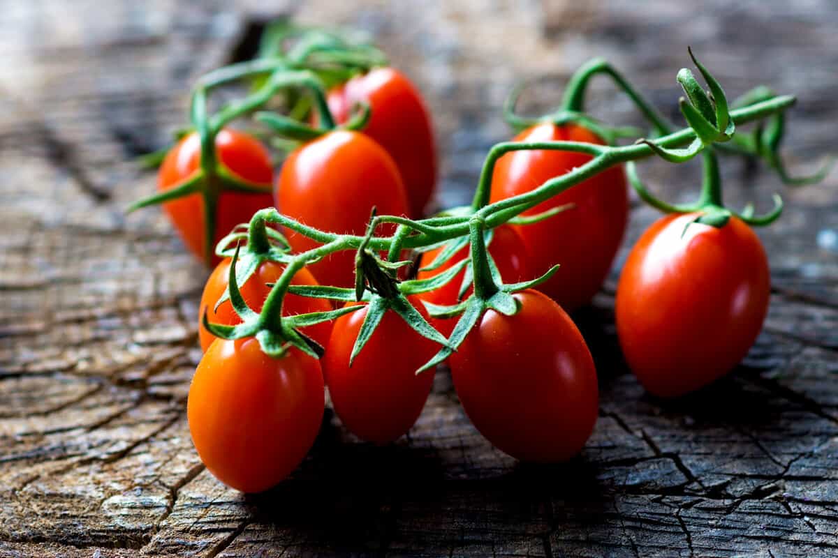 قیمت گوجه فرنگی گلخانه ای امروز