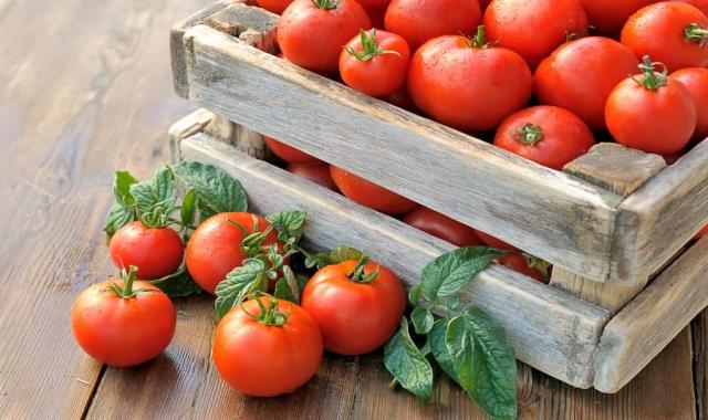 قیمت گوجه فرنگی در عراق امروز