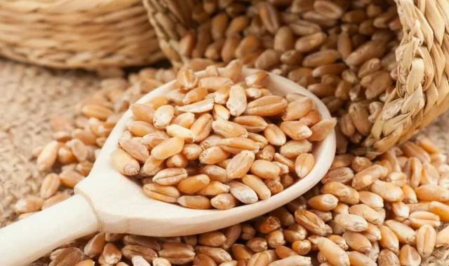 قیمت جو امروز ۱۴۰۱