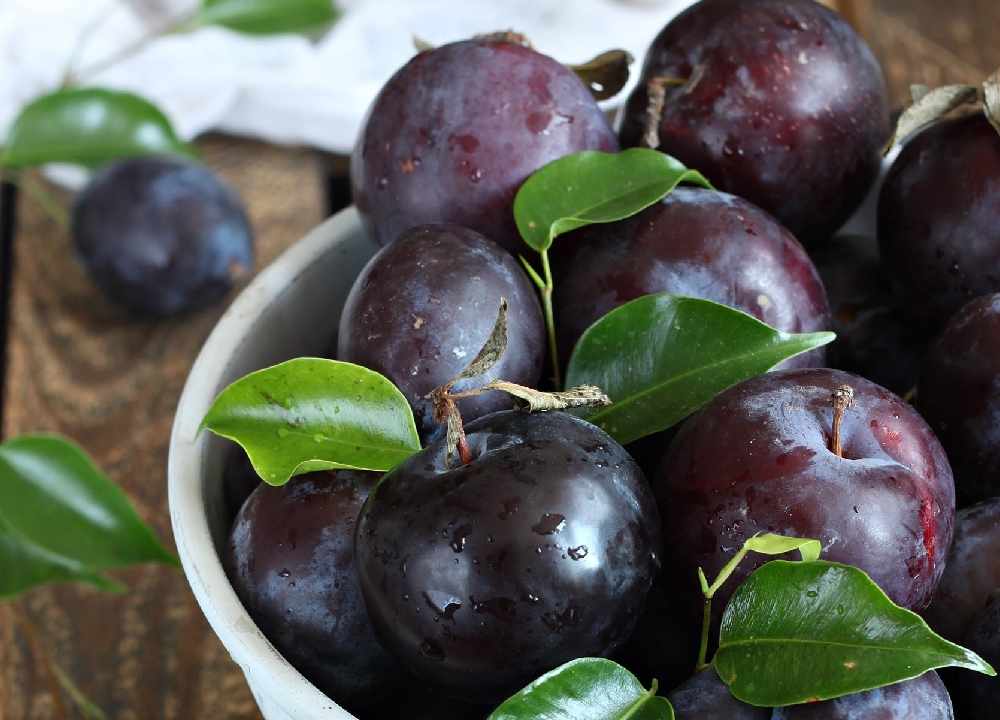 قیمت آلو سیاه تره بار